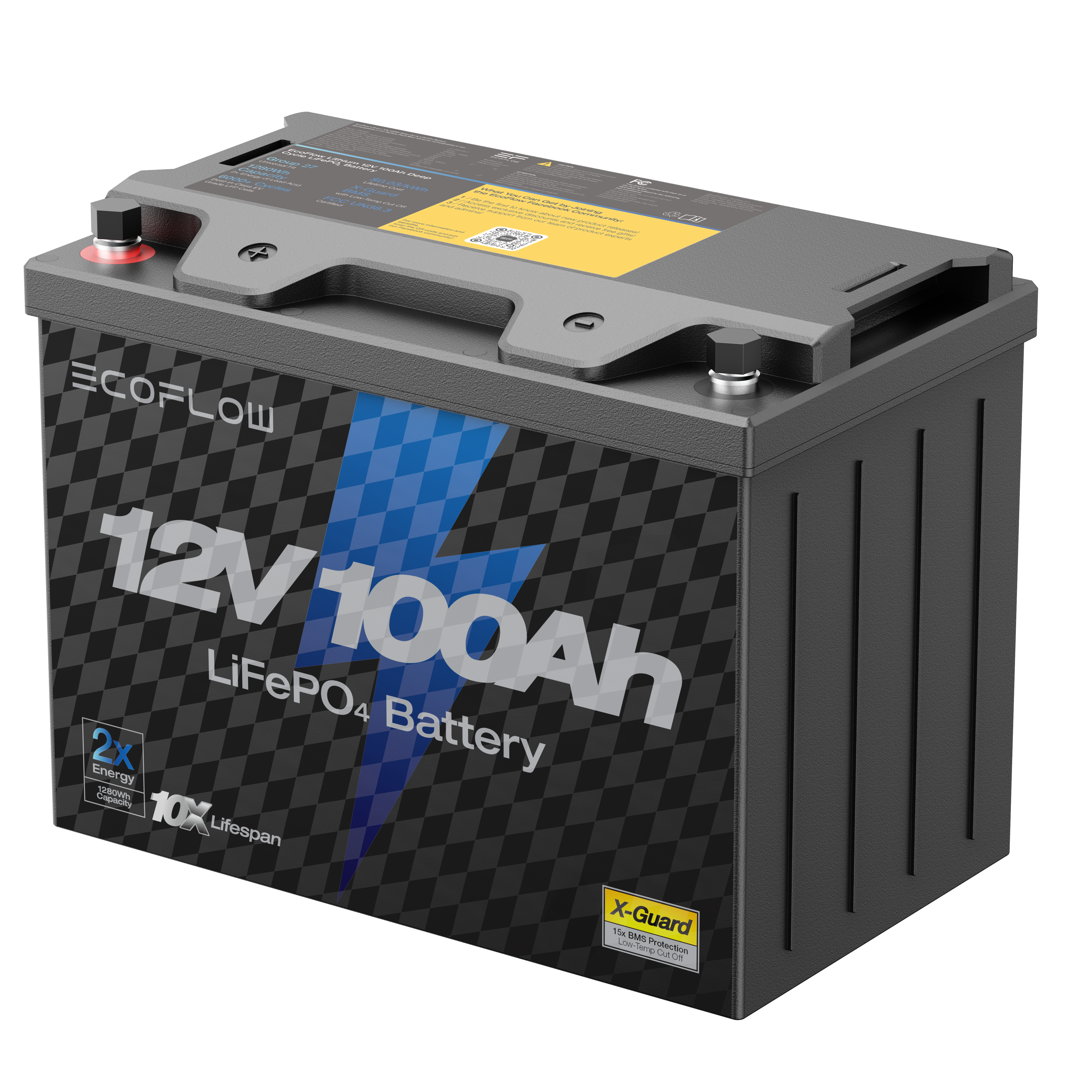 EcoFlow Lithium 12V 100Ah Deep Cycle LiFePO4 Battery