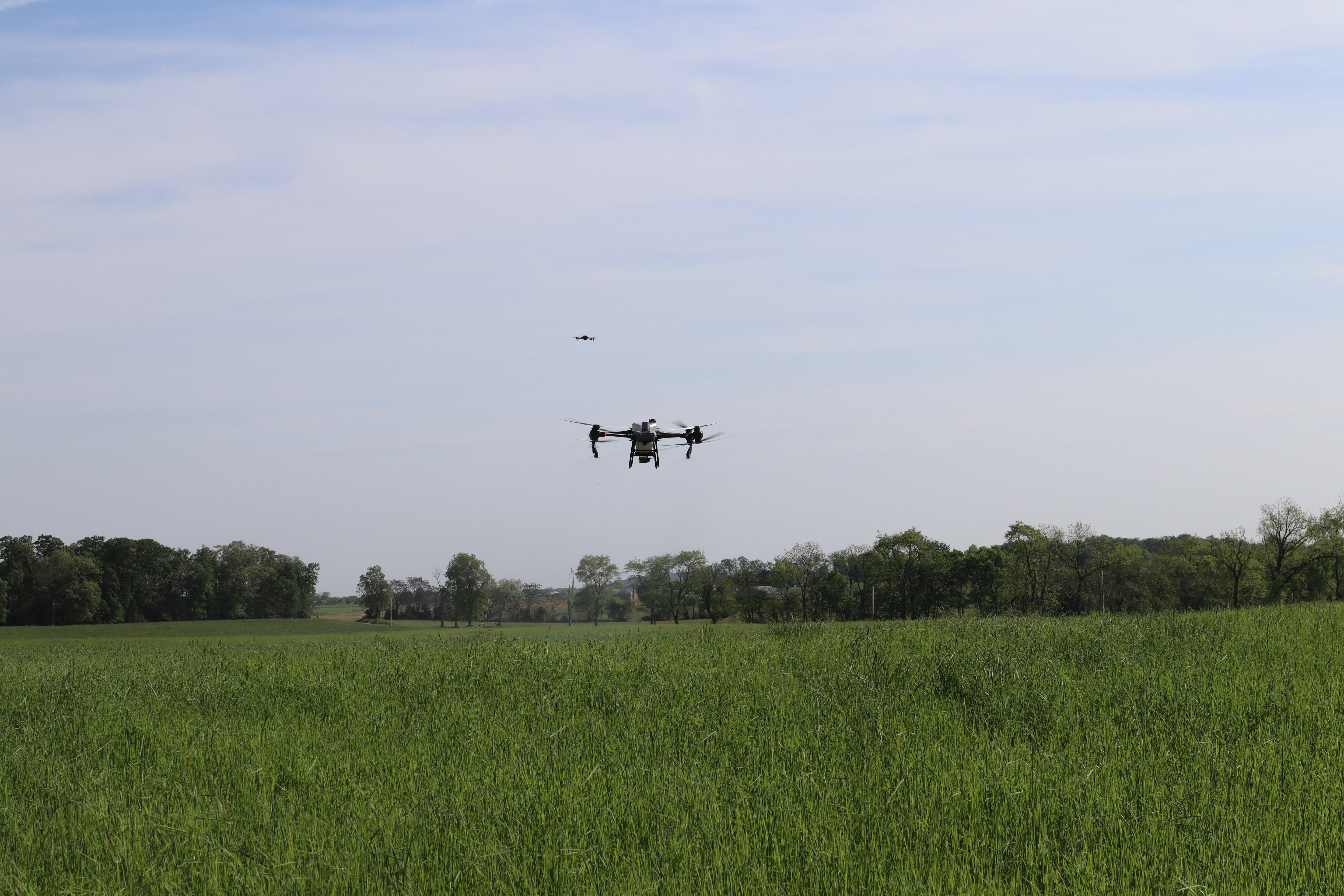 DJI Agras T50 (Drone)