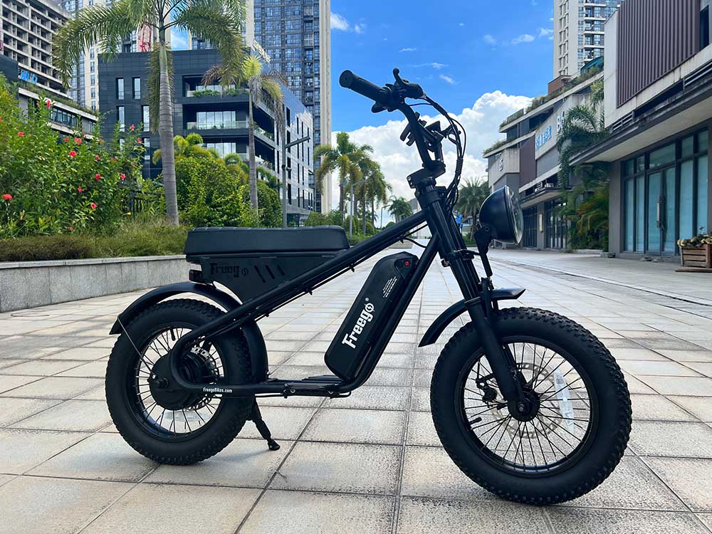 Freego Mini Electric Motorcycle for Child M1, Max Speed:28mph (45km/h), Range:25km -40km | 15mi -25mi