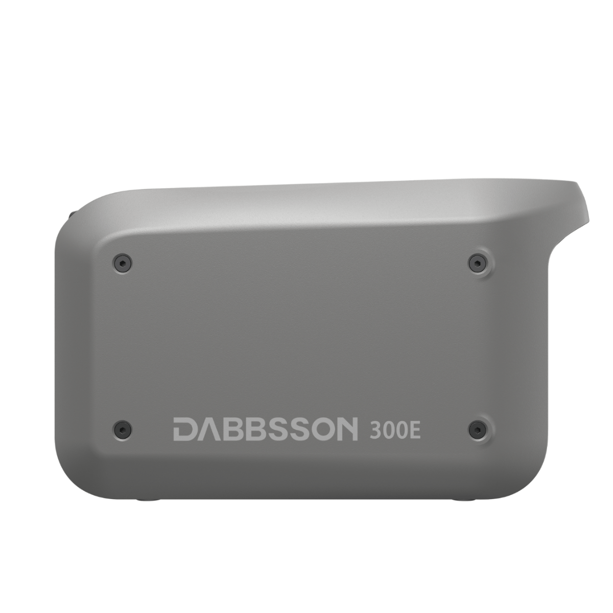 Dabbsson 300E Portable Power Station
