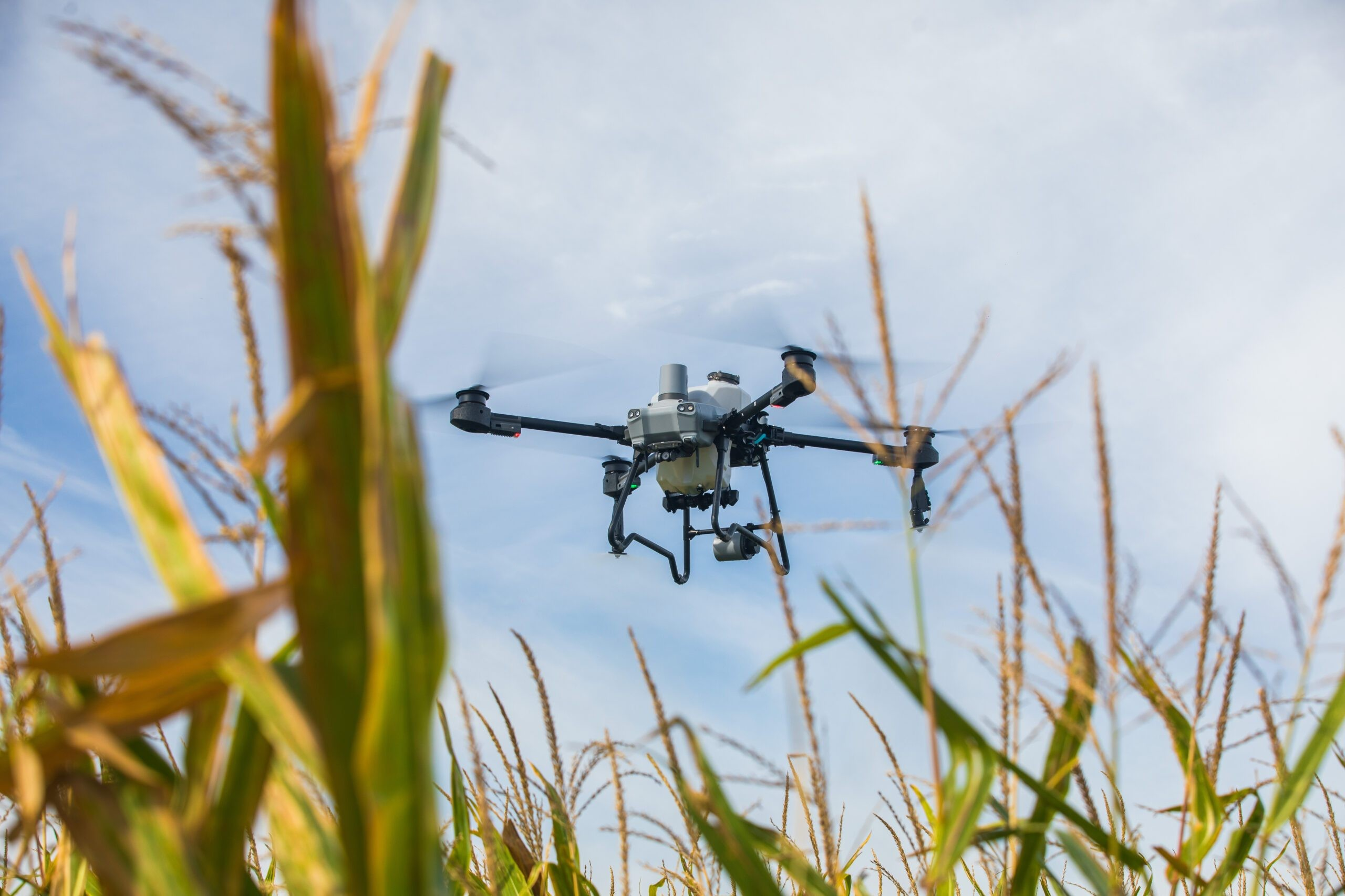 DJI Agras T50 (Drone)