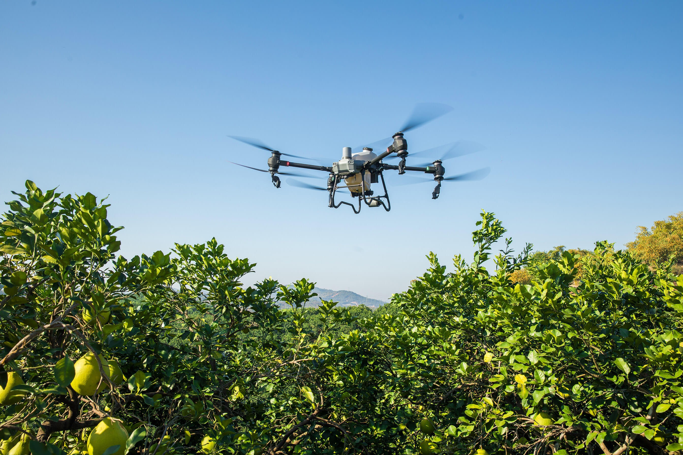DJI Agras T50 (Drone)